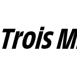 Trois Mille Medium Italic