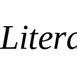 LiterationSerif NF