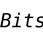 BitstreamVeraSansMono Nerd Font Mono