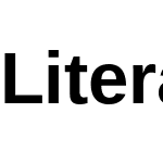 LiterationSans Nerd Font