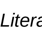 LiterationSans Nerd Font