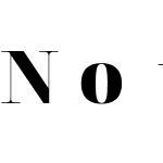 NotoSerifDisplay Nerd Font Mono