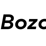 Bozon