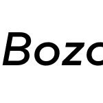 Bozon