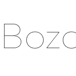 Bozon