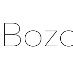 Bozon