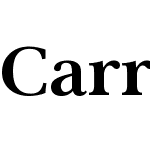 Carrig Pro