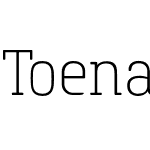 Toenas Bangsa Slab