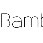 Bambino New