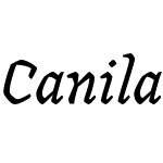 Canilari