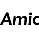 Amica Pro