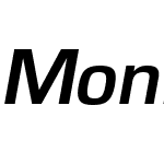 MonFnt13