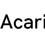 Acari Sans Neue