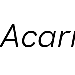 Acari Sans Neue