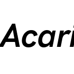 Acari Sans Neue