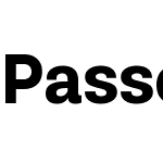 Passenger Sans