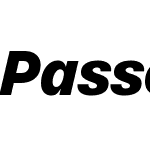 Passenger Sans