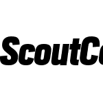 Scout