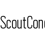 Scout