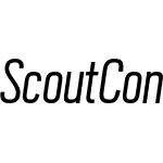 Scout