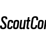 Scout