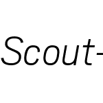 Scout