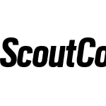 Scout