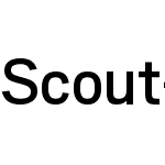 Scout