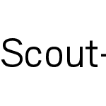 Scout