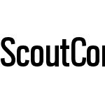 Scout