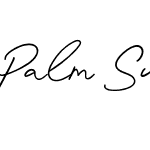 Palm Sugar