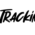 Tracking