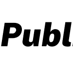 Public Sans