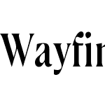 Wayfinder CF
