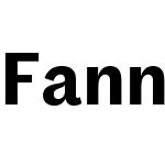 Fann Grotesque Pro