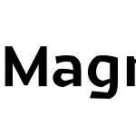 Magnetic Pro