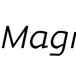 Magnetic Pro