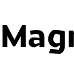 Magnetic Pro