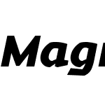 Magnetic Pro