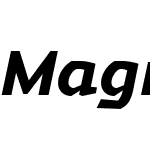 Magnetic Pro