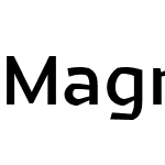 Magnetic Pro