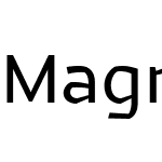 Magnetic Pro