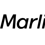 Marlin Geo