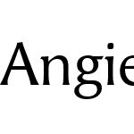 Angie Offc Pro