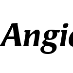 Angie Offc Pro