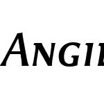 Angie SC Offc Pro