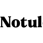 Notulen Serif Display