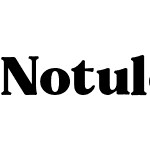 Notulen Serif Display