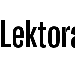 Lektorat