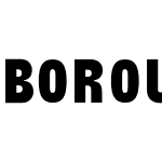 Borough Grotesk Pro